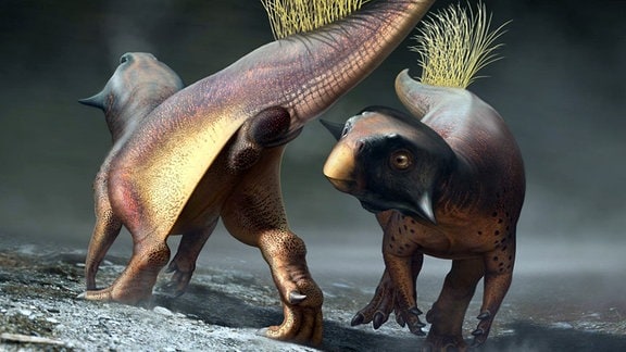 Rekonstruktion von Psittacosaurus 