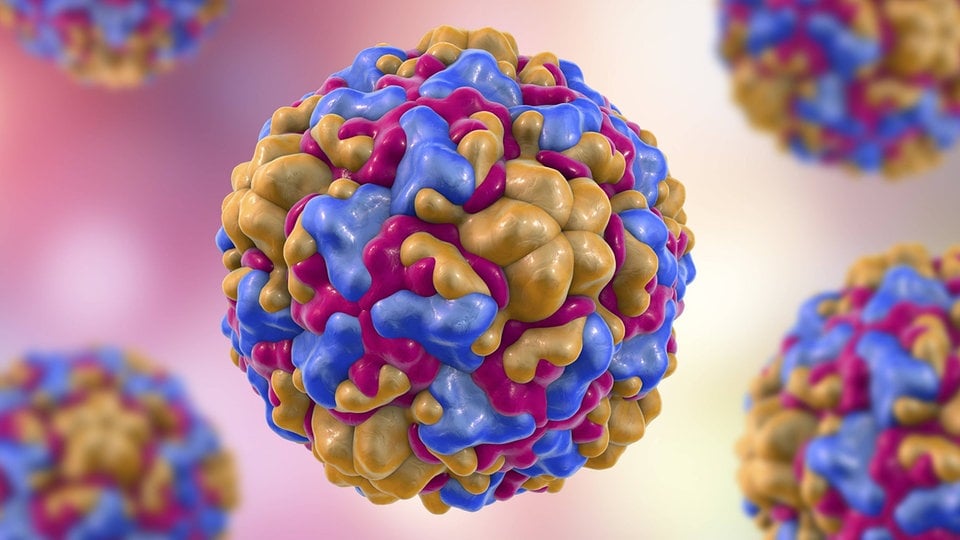 Infektionslage 3.2.: Anstieg bei Erkältungen – Corona-Pandemie endet bald