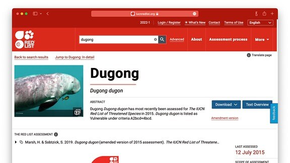 Screenshot eines Webbrowsers mit geöffneter Webseite IUCN Rote Liste, Eintragt für Dugong mit Foto und Einstufung "gefährdet".