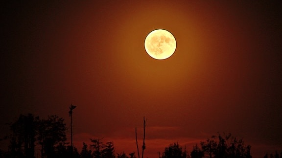 Der Vollmond leuchtet am späten Abend rötlich über der Landschaft im Harz bei Schierke.