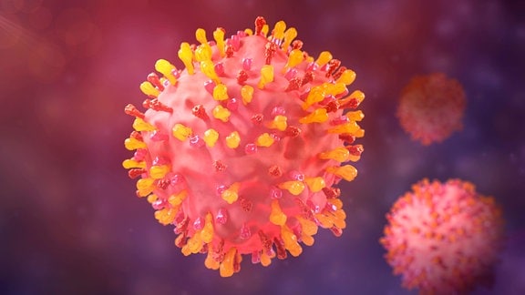 3D Illustration eines Partikels des Respiratorischen Synzytialvirus