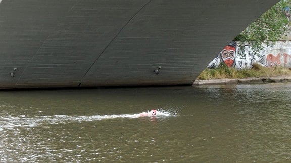 Saale Schwimmer in Halle