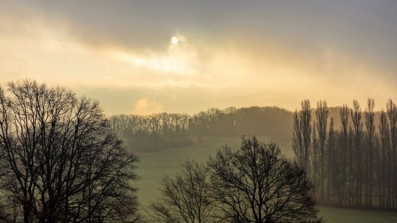 Sonnenaufgang über dem Naturschutzgebiet Rodderberg, südlich von Bonn mit Blick auf das Siebengebirge in Höhe der Landesgrenze Rheinland Pfalz und NRW unter dem leichten Einfluss des Saharastaub Wetterphänomen.