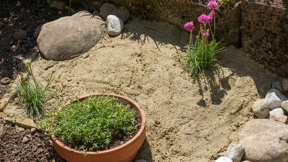 Ein Sandarium