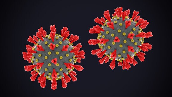 Grafik Sars-Coronavirus-2 Spikeprotein