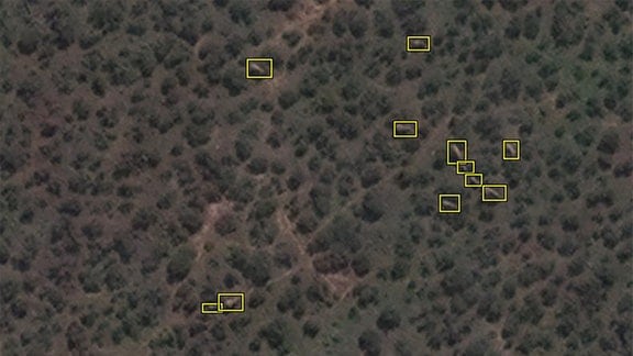 Satellitenbild von Elefanten im Waldgebiet im Addo Elephant National Park, Südafrika