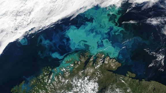 Satellitenbild der Barentssee 