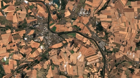 Satellitenaufnahme der Stadt Riesa vom 18. August 2022 mit braunen, vertrockneten Flächen in der Umgebung.