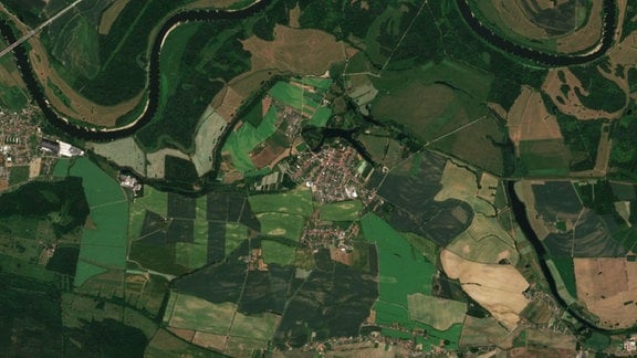 Satellitenaufnahme des Wörlitzer Parks vom 18. August 2021 mit saftig grünen Wiesen und Flächen.