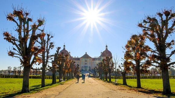 Schlosspark Moritzburg mit Schloss im Hintergrund und strahlender Sonne