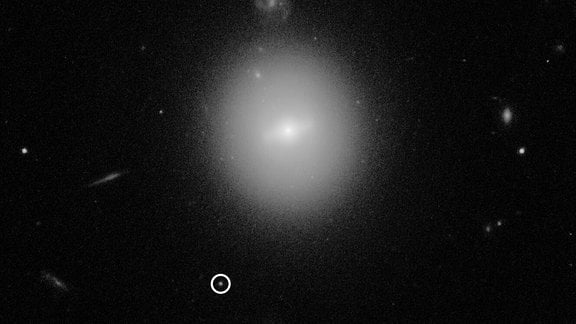 Dieses Bild des Hubble-Weltraumteleskops identifizierte den Ort eines Schwarzen Lochs mittlerer Masse (IMBH), das über 50 000 Mal die Masse unserer Sonne wiegt (und damit viel kleiner ist als die supermassiven Schwarzen Löcher, die in den Zentren von Galaxien gefunden werden). Das Schwarze Loch mit der Bezeichnung 3XMM J215022.4-055108 ist durch den weißen Kreis gekennzeichnet. 