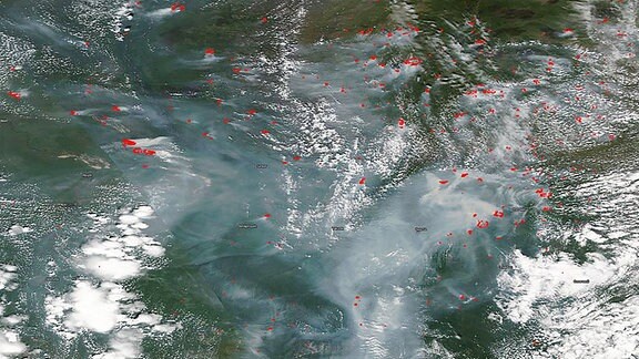 Sibiriens Brände von oben am 1. Juli 2020