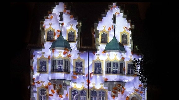 Hallmarkt Silbersalz Festival Andrej Boleslavsky projiziert Bakterien