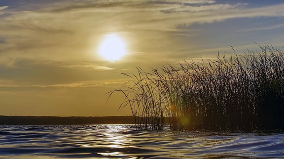 See bei tiefstehender Sonne, die durch Bewölkung scheint, weich wirkendes leicht welliges Wasser, Schilfgrass im rechten Bildteil, orange-gelbe Farben, im Hintergrund Ufer mit Wald,