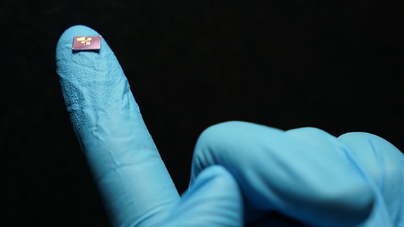 Der Spektrometer-Chip zum Größenvergleich auf einer Hand. 