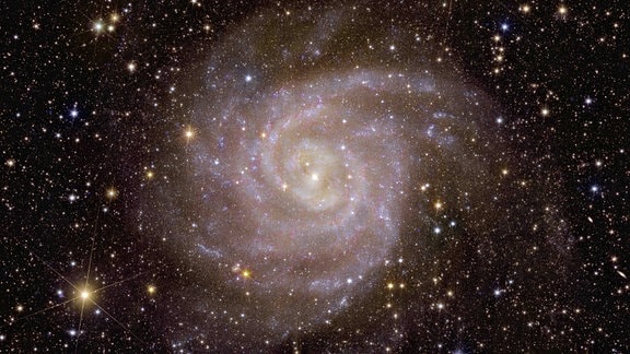 Euclid-Blick auf die Spiralgalaxie IC 342.