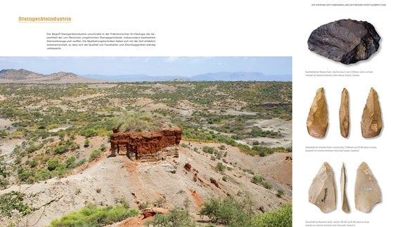 Ein großes Bild der Olduvai-Schlucht in Tansania, daneben sieben von Menschen bearbeitete Steinartefakte.