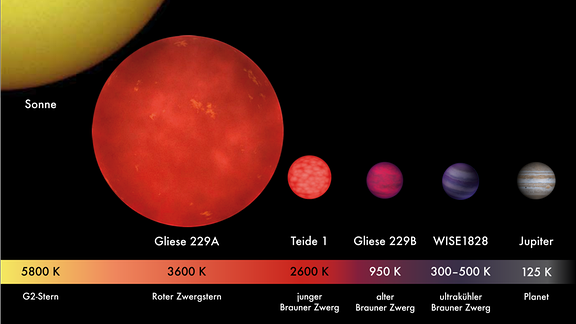 Vergleich der Größen und effektiven Temperaturen von Planeten, Braunen Zwergen und Sternen. Dargestellt sind die Sonne, der rote Zwergstern Gliese 229A, der junge braune Zwerg Teide 1, der alte braune Zwerg Gliese 229B, der sehr kühle braune Zwerg WISE 1828+2650 und der Planet Jupiter