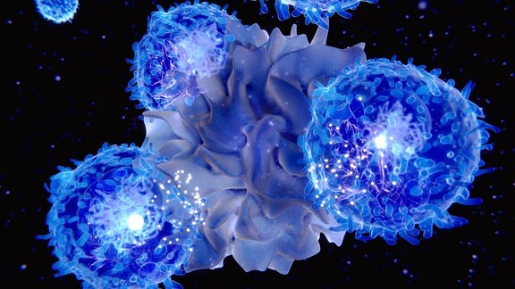 Computergrafik: Eine Zelle (dendritische Boten-Zelle) mit wellenförmiger, wabbeliger Oberfläche, an die blau-glänzende, umherschwirrende, kugelige T-Killerzellen teilweise angedockt sind, Hintergrund schwarz.