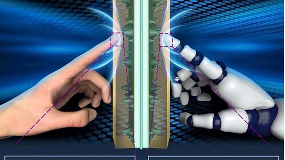 Taktile Wahrnehmung von menschlichem und bionischem Finger