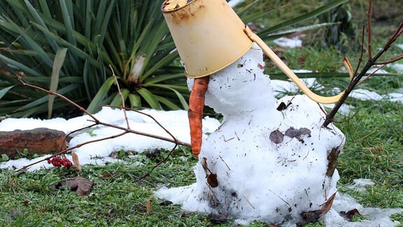 Schmelzender kleiner Schneemann mit Eimer auf Kopf und hängerer Möhre als Nase, im Hintergrund grüne, buschige Yucca ohne Stamm