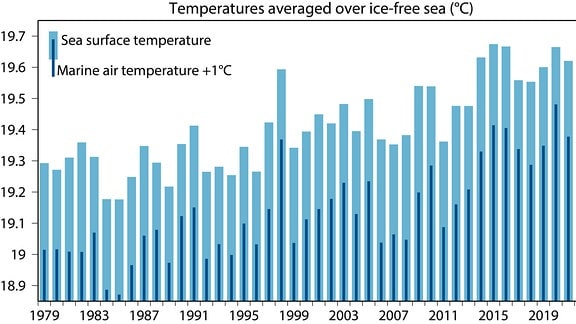Die Durchschnittstemperaturen über den Meeren seit 1979.