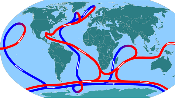 Die thermohaline Zirkulation in den Weltmeeren, umgangssprachlich das "globale Förderband" genannt.