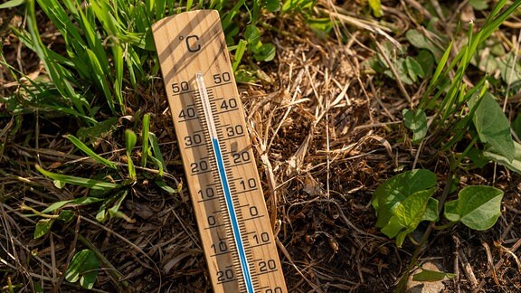 Thermometer aus Holz liegt zwischen grünem und dürrem verwelkten Gras und Erde.