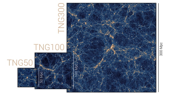 IllustrisTNG Simulation – Nachfolgeprojekt von Illustris basierend auf Updates des Illustris Modells. Hier sind die Nachbildungen des Universums in den Simulationen TNG50, TNG100 und TNG300 im Größenvergleich dargestellt.