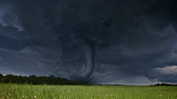 Tornado