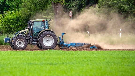 Landwirt mit Traktor bei der Feldarbeit, wirbelt Staubwolken auf.