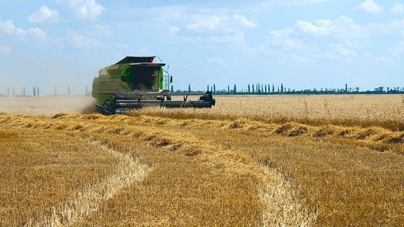 Mähdrescher bei Ernte auf einem Weizenfeld in der Ukraine 2021