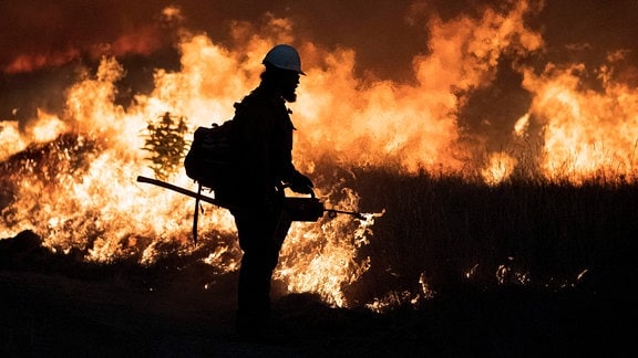 Ein Feuerwehrmann versucht einen Waldbrand zu löschen.