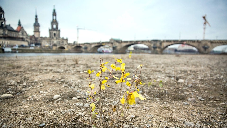 "Earth Overshoot Day" Deutschland hat natürliche Ressourcen für 2024