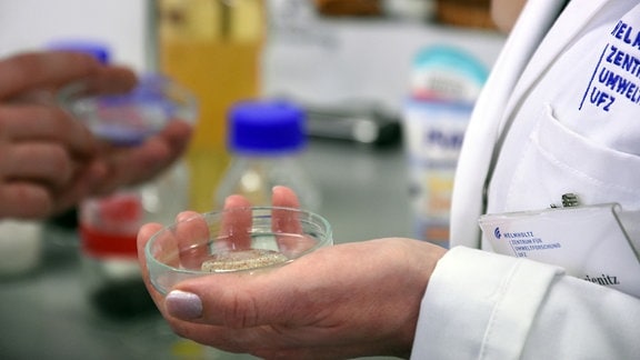 Eine Petrischale mit Mikroplastik in der Hand einer Frau im Laborkittel, die in einem Labor steht