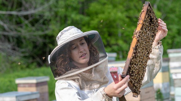 Eine Frau hantiert mit Bienen