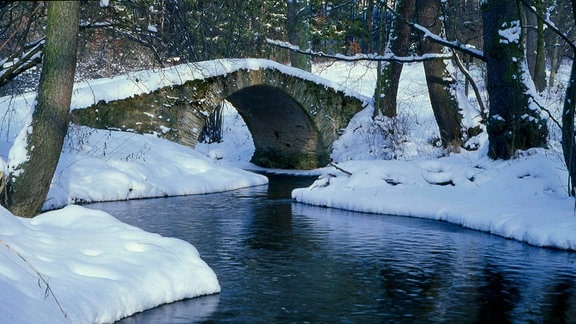 Schafbrücke am Kemnitzbach Burgstein