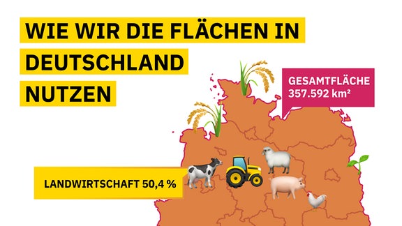 Die veschiedenen Belastungsarten der Gewässer in Deutschland und wie die Fläche Deutschlands genutzt wird