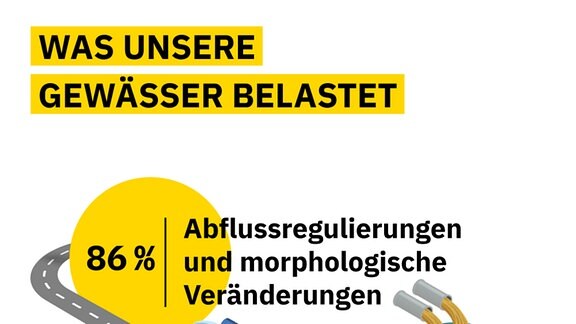 Die veschiedenen Belastungsarten der Gewässer in Deutschland und wie die Fläche Deutschlands genutzt wird