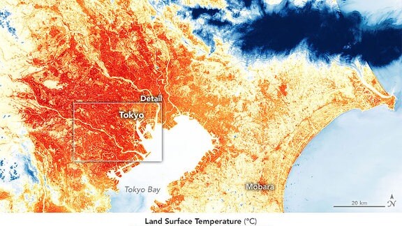 Die Karten oben und unten zeigen den Hitzeinsel-Effekt um Tokio am 17. August 2019. 