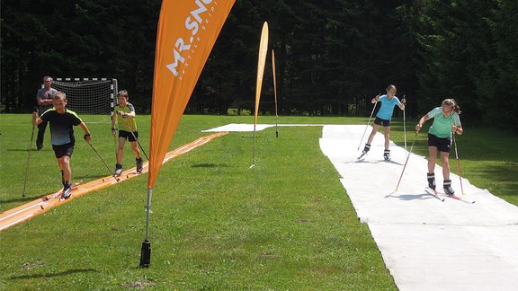 Wintersportler im Sommer: Link sim Bild fahren Langläufer über einer weißen Matte auf einer Wiese, rechts fahren Skifahrer.  