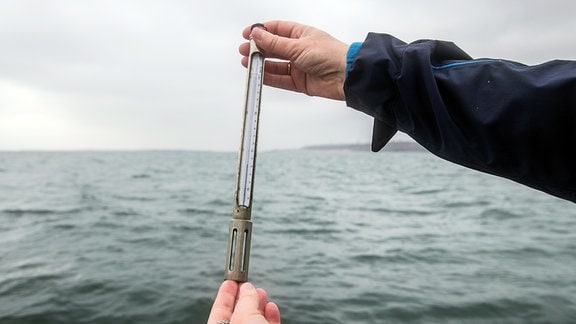 Forscher hält Thermometer in die Luft, das die Wassertemperatur der Nordsee vor Helgoland anzeigt.