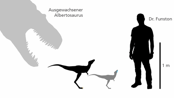 Grafik eines Baby-Tyrannosaurus-Rex im Vergleich zu einem Menschen