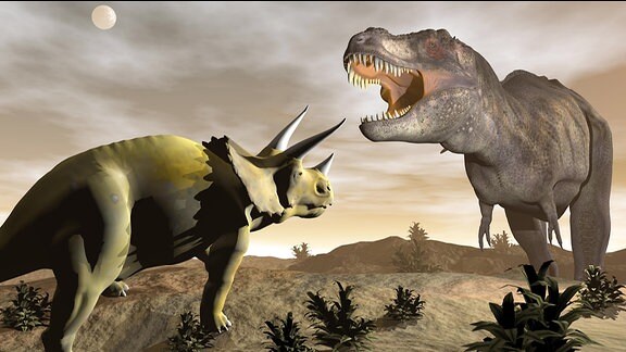 Tyrannosaurus brüllend auf Triceratops