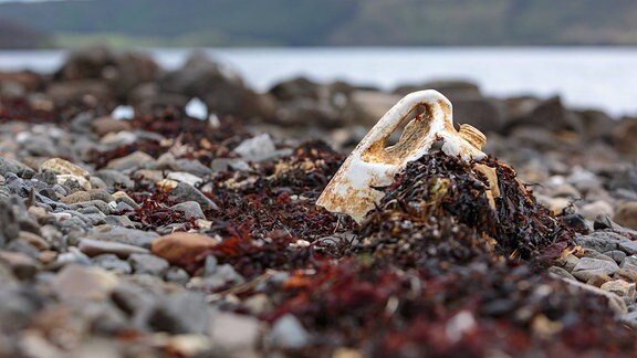 Ein weggeworfener verschmutzter Kanister mit Algen bedeckt an einem Strand 