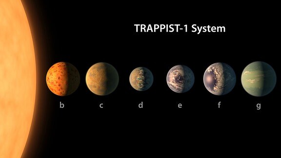 A size comparison of the planets of the TRAPPIST-1 system, lined up in order of increasing distance from their host star. The planetary surfaces are portrayed with an artist’s impression of their potential surface features, including water, ice, and atmospheres.