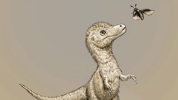 Zeichnung von einem Baby Tyrannosaurus Rex