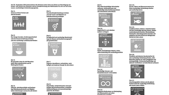 Das Bild zeigt die 17 Ziele, die die UN für eine nachhaltige Entwicklung definiert hat, von "Armut beenden" bis zum "Ergreifen sofortiger Klimaschutzmaßnahmen".