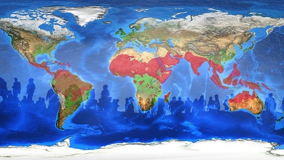 Weltkarte in der der Norden von Südamerika, die mitte von Afrika, Arabien, Indien und Pakistan sowie ein breiter Streifen in Südostasien rot gestrichelt ist.