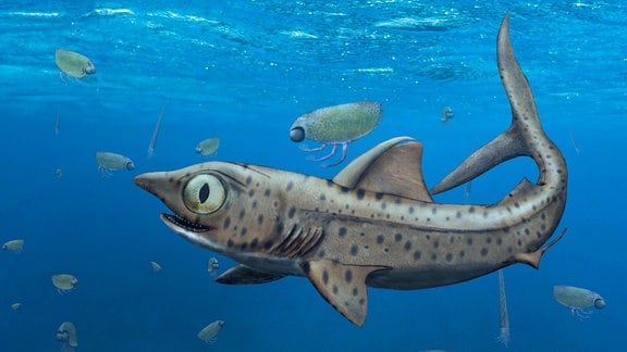 Abbildung eines Urzeit-Hai